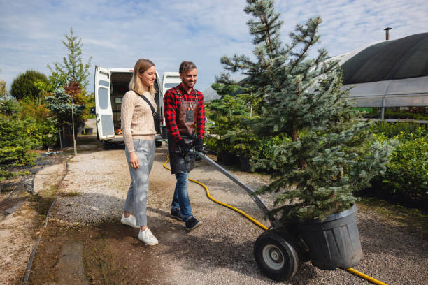 Best Emergency Storm Tree Removal  in Grace, ID